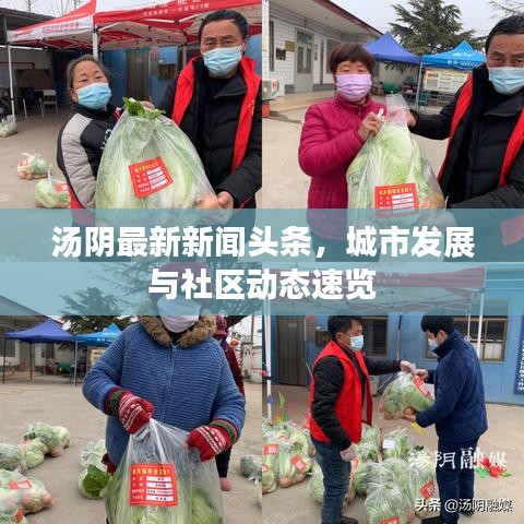 湯陰最新新聞?lì)^條，城市發(fā)展與社區(qū)動(dòng)態(tài)速覽