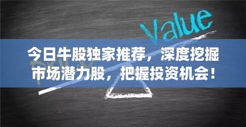 今日牛股獨(dú)家推薦，深度挖掘市場(chǎng)潛力股，把握投資機(jī)會(huì)！