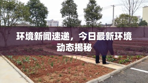 環(huán)境新聞速遞，今日最新環(huán)境動態(tài)揭秘