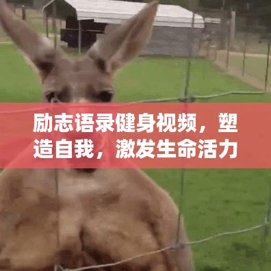 勵(lì)志語錄健身視頻，塑造自我，激發(fā)生命活力