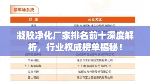 凝膠凈化廠家排名前十深度解析，行業(yè)權(quán)威榜單揭秘！