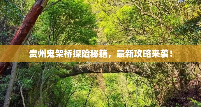 貴州鬼架橋探險秘籍，最新攻略來襲！