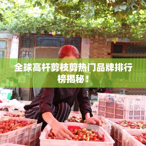 全球高桿剪枝剪熱門品牌排行榜揭秘！