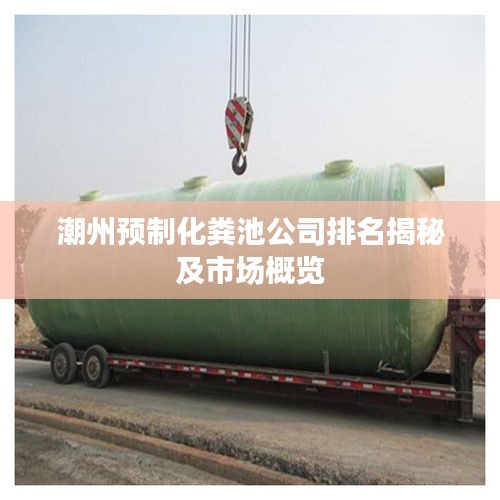 潮州預(yù)制化糞池公司排名揭秘及市場(chǎng)概覽