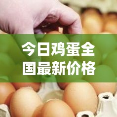 今日雞蛋全國最新價(jià)格走勢分析及未來展望