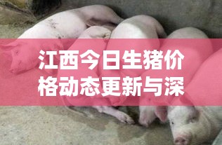 江西今日生豬價(jià)格動(dòng)態(tài)更新與深度分析