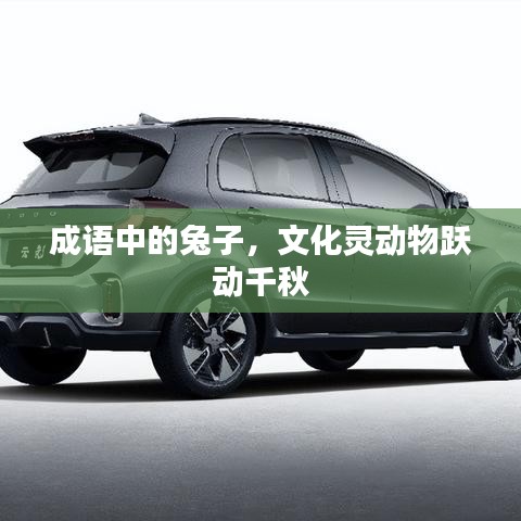 成語中的兔子，文化靈動(dòng)物躍動(dòng)千秋