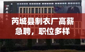 質(zhì)而不俚 第2頁