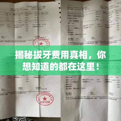 揭秘拔牙費(fèi)用真相，你想知道的都在這里！