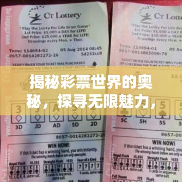 揭秘彩票世界的奧秘，探尋無限魅力，掌握T天下彩的秘訣（百度收錄）
