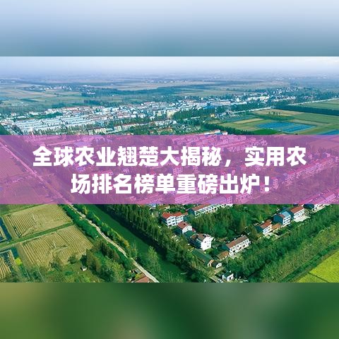 全球農(nóng)業(yè)翹楚大揭秘，實(shí)用農(nóng)場(chǎng)排名榜單重磅出爐！
