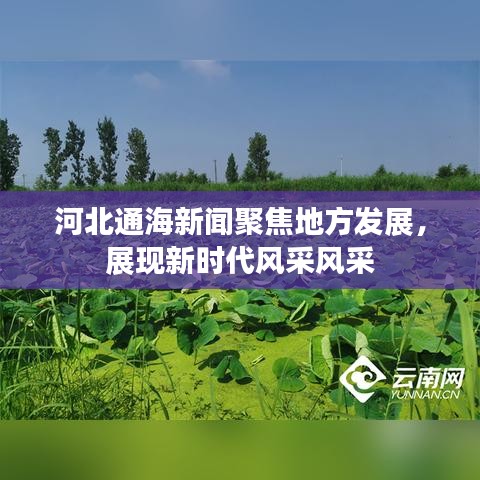 河北通海新聞聚焦地方發(fā)展，展現(xiàn)新時代風(fēng)采風(fēng)采