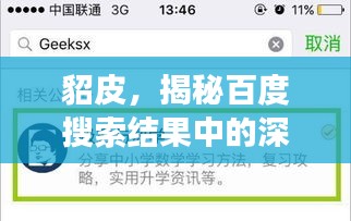 貂皮，揭秘百度搜索結(jié)果中的深度解讀