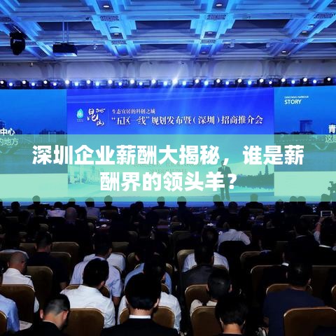 深圳企業(yè)薪酬大揭秘，誰是薪酬界的領(lǐng)頭羊？