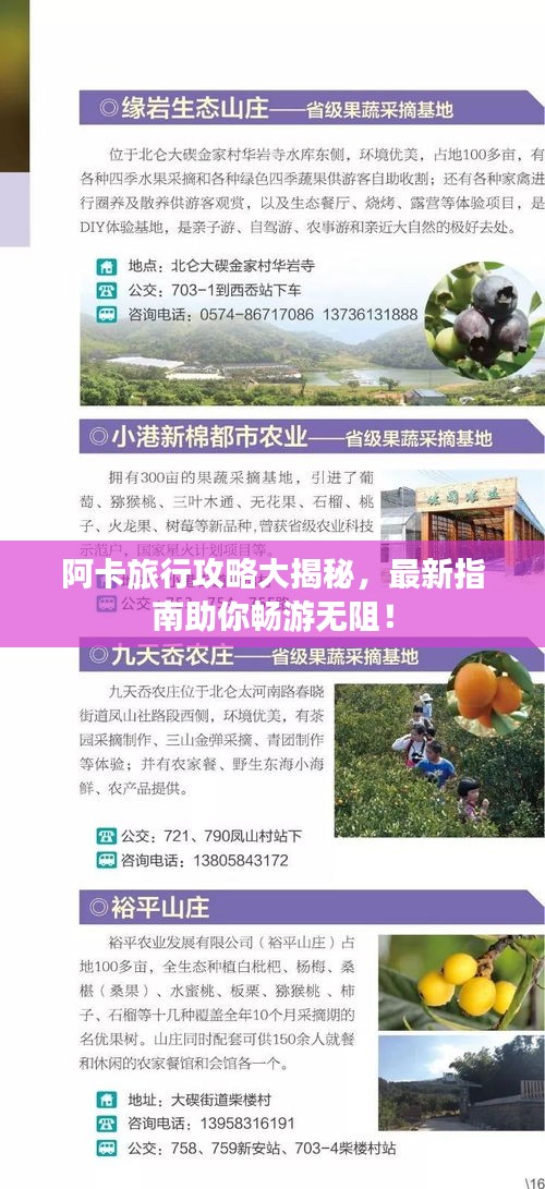 阿卡旅行攻略大揭秘，最新指南助你暢游無阻！