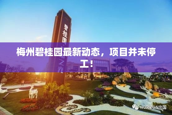 梅州碧桂園最新動(dòng)態(tài)，項(xiàng)目并未停工！