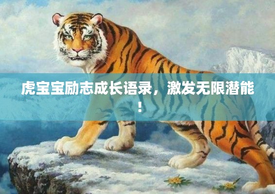 虎寶寶勵(lì)志成長語錄，激發(fā)無限潛能！
