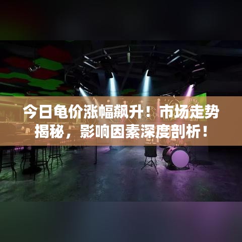 今日龜價(jià)漲幅飆升！市場(chǎng)走勢(shì)揭秘，影響因素深度剖析！