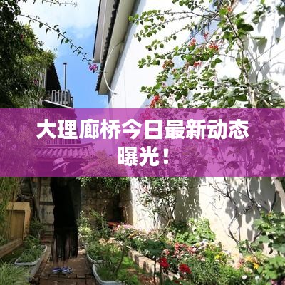 大理廊橋今日最新動(dòng)態(tài)曝光！