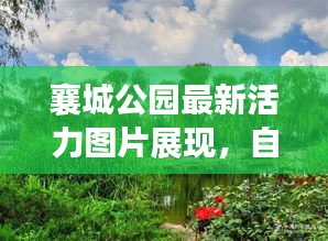 襄城公園最新活力圖片展現(xiàn)，自然盛景下的生機(jī)勃勃景象！