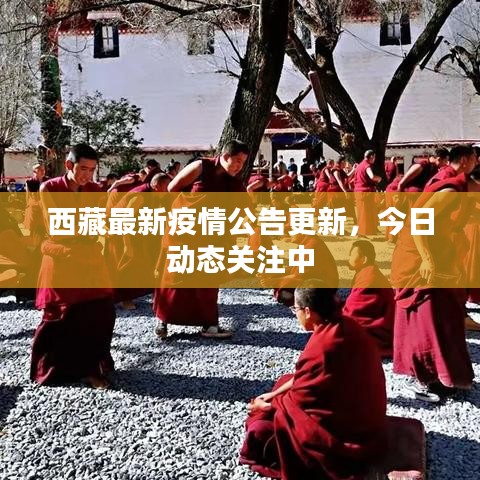 西藏最新疫情公告更新，今日動態(tài)關(guān)注中