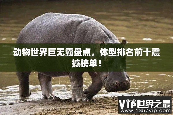 動物世界巨無霸盤點，體型排名前十震撼榜單！
