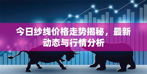 今日紗線價(jià)格走勢(shì)揭秘，最新動(dòng)態(tài)與行情分析