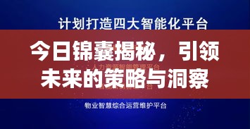 今日錦囊揭秘，引領(lǐng)未來的策略與洞察最新消息