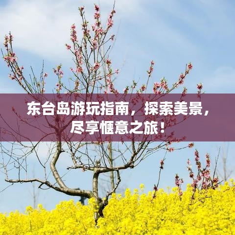 東臺島游玩指南，探索美景，盡享愜意之旅！