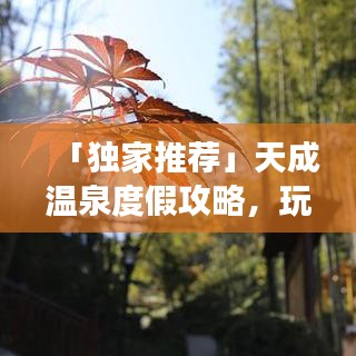 「獨(dú)家推薦」天成溫泉度假攻略，玩轉(zhuǎn)溫泉?jiǎng)俚?，盡享舒適之旅！
