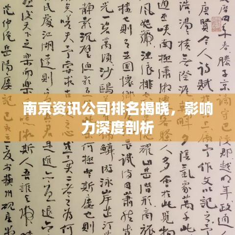 南京資訊公司排名揭曉，影響力深度剖析