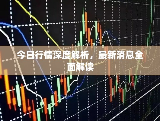 今日行情深度解析，最新消息全面解讀