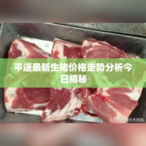 平遙最新生豬價(jià)格走勢(shì)分析今日揭秘