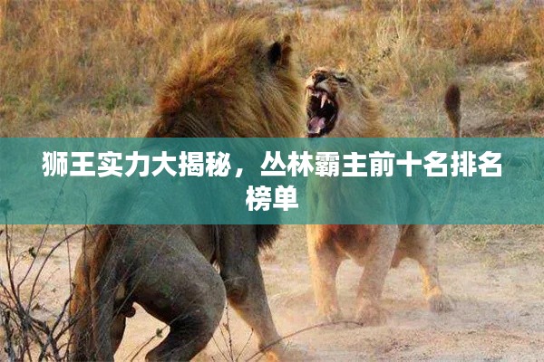 獅王實力大揭秘，叢林霸主前十名排名榜單