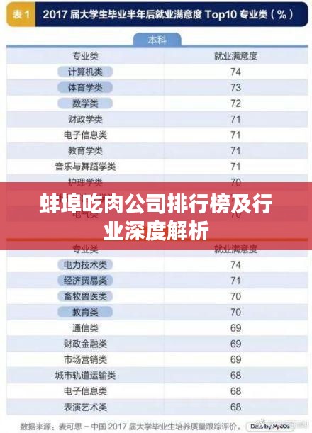 蚌埠吃肉公司排行榜及行業(yè)深度解析