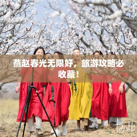 異口同聲 第3頁(yè)