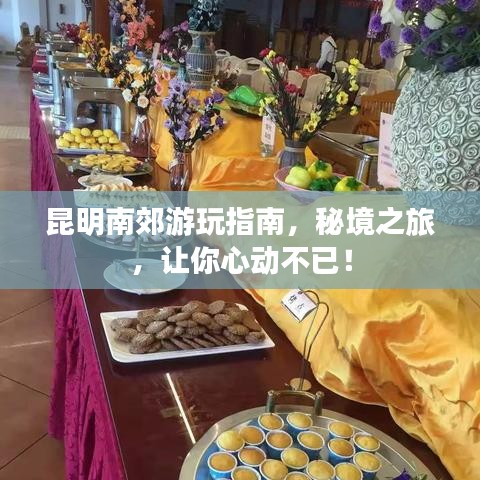 昆明南郊游玩指南，秘境之旅，讓你心動不已！