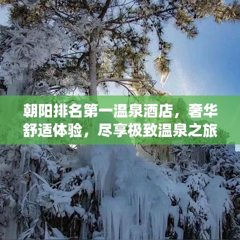 朝陽排名第一溫泉酒店，奢華舒適體驗，盡享極致溫泉之旅
