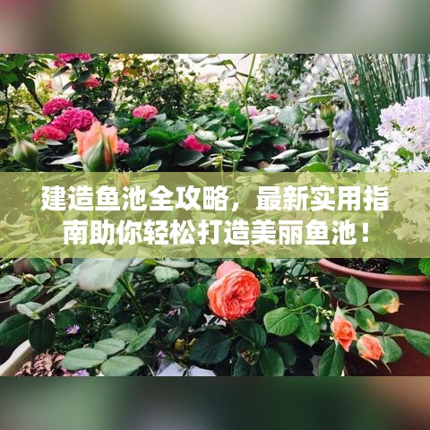 建造魚池全攻略，最新實用指南助你輕松打造美麗魚池！