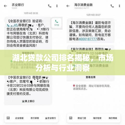 湖北貸款公司排名揭秘，市場(chǎng)分析與行業(yè)洞察