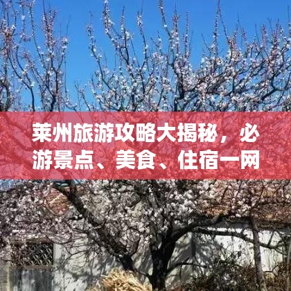 萊州旅游攻略大揭秘，必游景點(diǎn)、美食、住宿一網(wǎng)打盡！