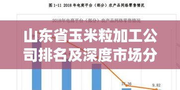 山東省玉米粒加工公司排名及深度市場分析