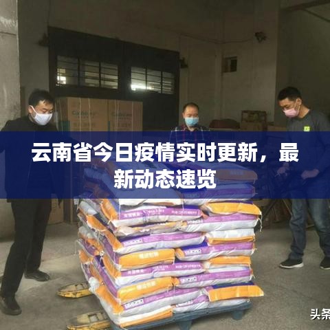 云南省今日疫情實(shí)時(shí)更新，最新動(dòng)態(tài)速覽