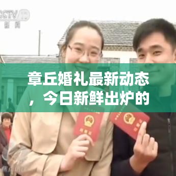 章丘婚禮最新動(dòng)態(tài)，今日新鮮出爐的婚禮消息匯總