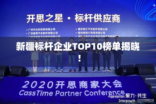 新疆標(biāo)桿企業(yè)TOP10榜單揭曉！