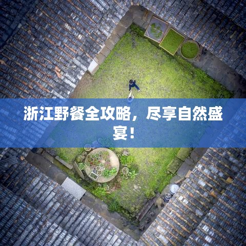 浙江野餐全攻略，盡享自然盛宴！