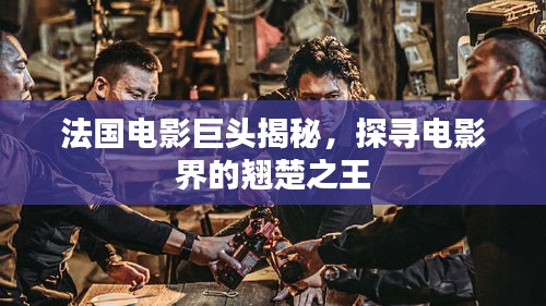 法國(guó)電影巨頭揭秘，探尋電影界的翹楚之王