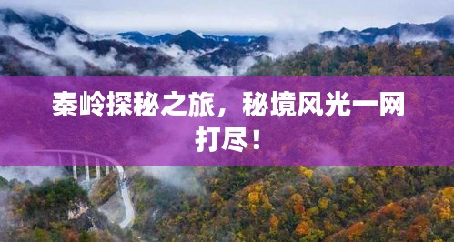 秦嶺探秘之旅，秘境風(fēng)光一網(wǎng)打盡！