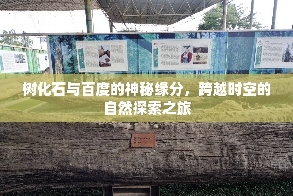 五侯七貴 第2頁