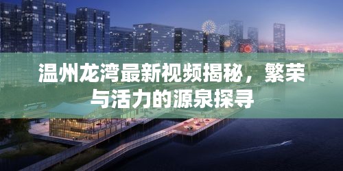 溫州龍灣最新視頻揭秘，繁榮與活力的源泉探尋